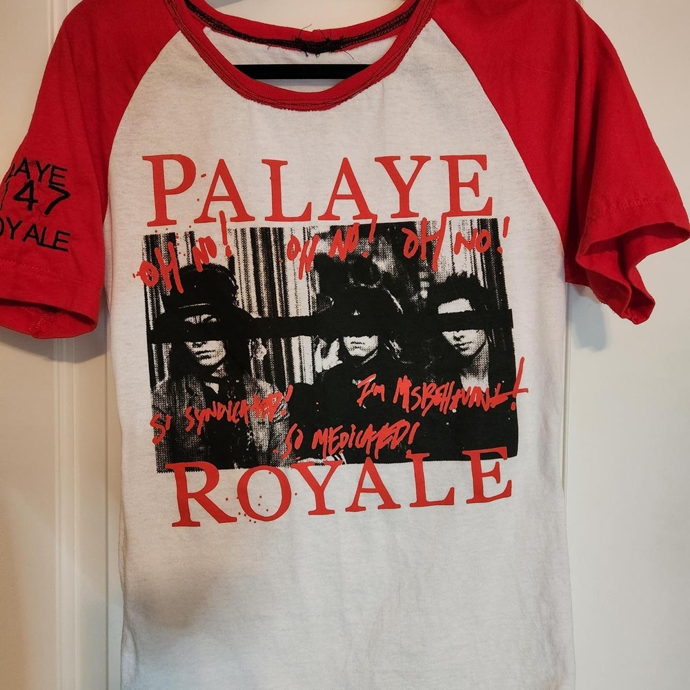 Custom Palaye Royale Tshirt - Picture 1 of 5